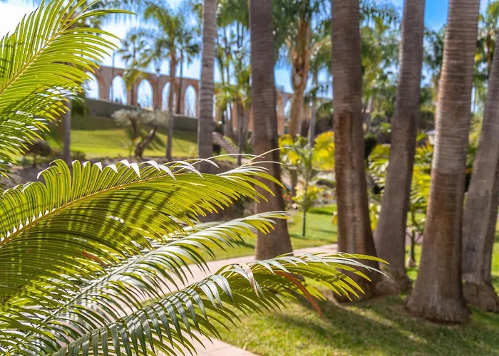 Casablanca 18 Oasis